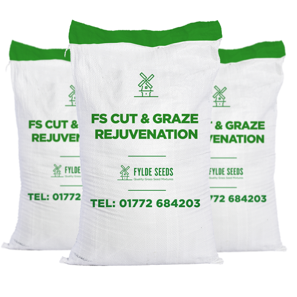 FS Cut & Graze Rejuvenation seeds