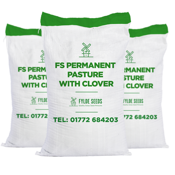 FS Permanent Pasture seeds with Clover