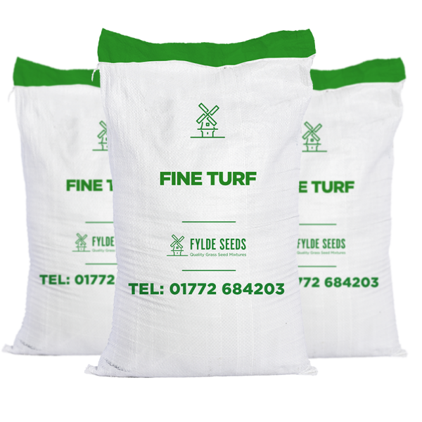 Fine Turf grass seeds