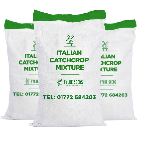 Italian CatchCrop Mixture seed bags