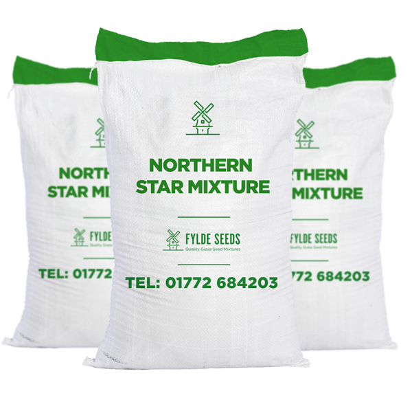 Northern Star Mixture seeds