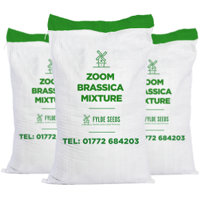Zoom Brassica Mixture seeds